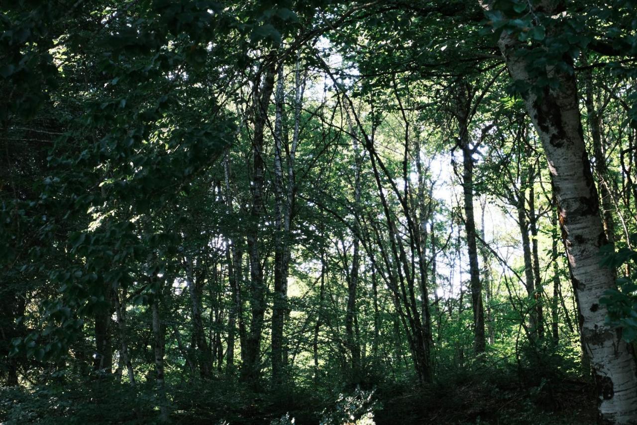 Lodge Avec Spa Privatif - Foret Et Lac Liginiac Zewnętrze zdjęcie
