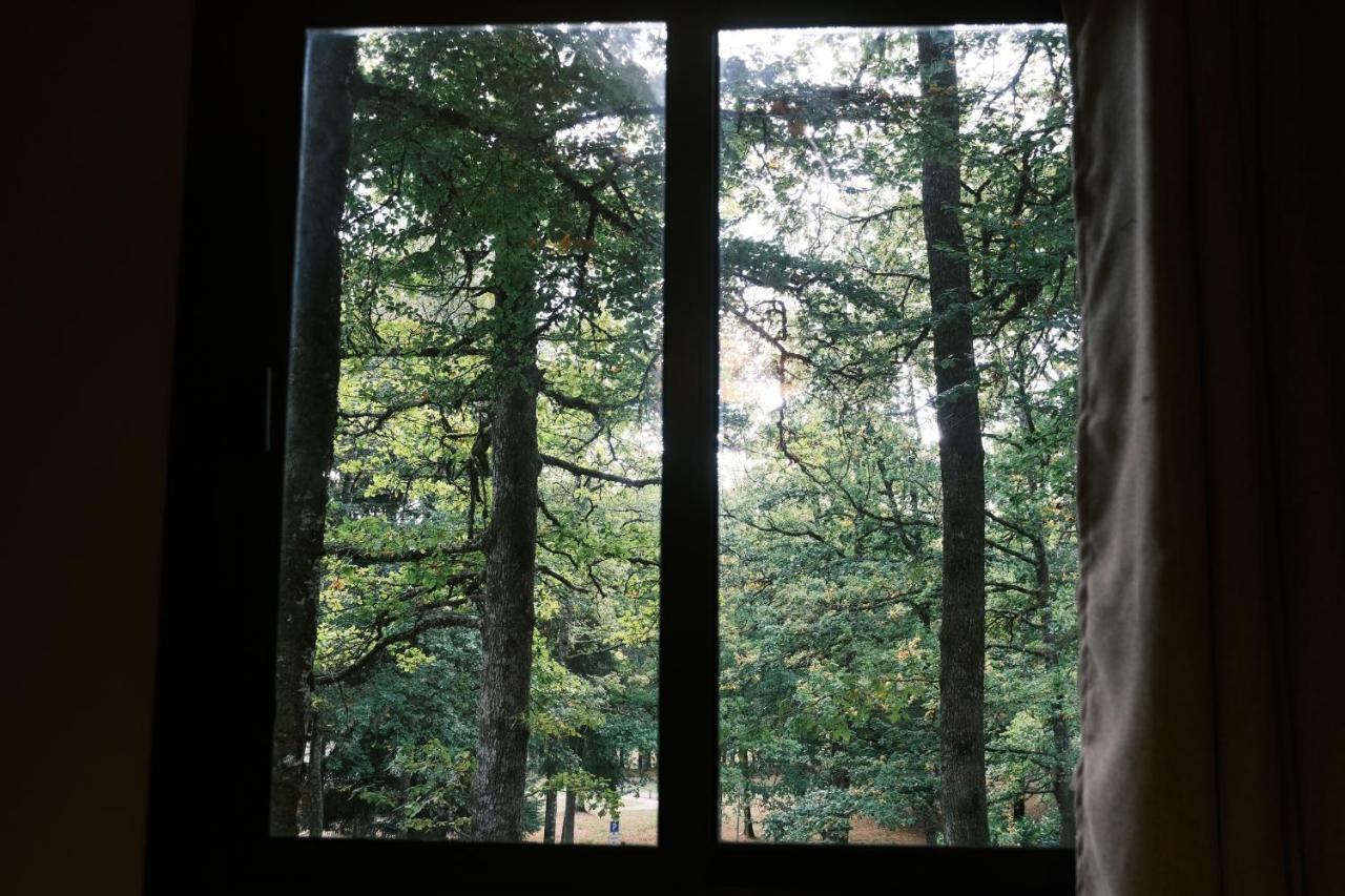 Lodge Avec Spa Privatif - Foret Et Lac Liginiac Zewnętrze zdjęcie