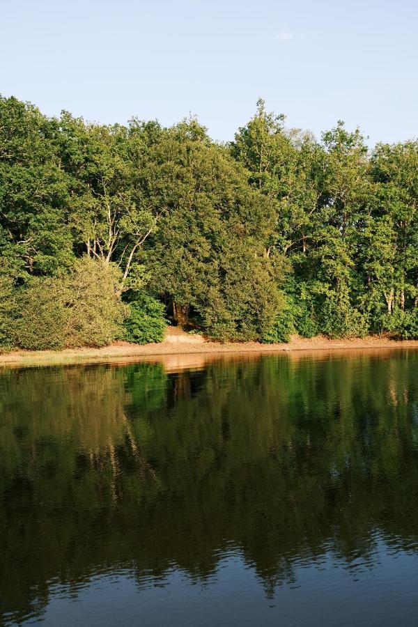 Lodge Avec Spa Privatif - Foret Et Lac Liginiac Zewnętrze zdjęcie