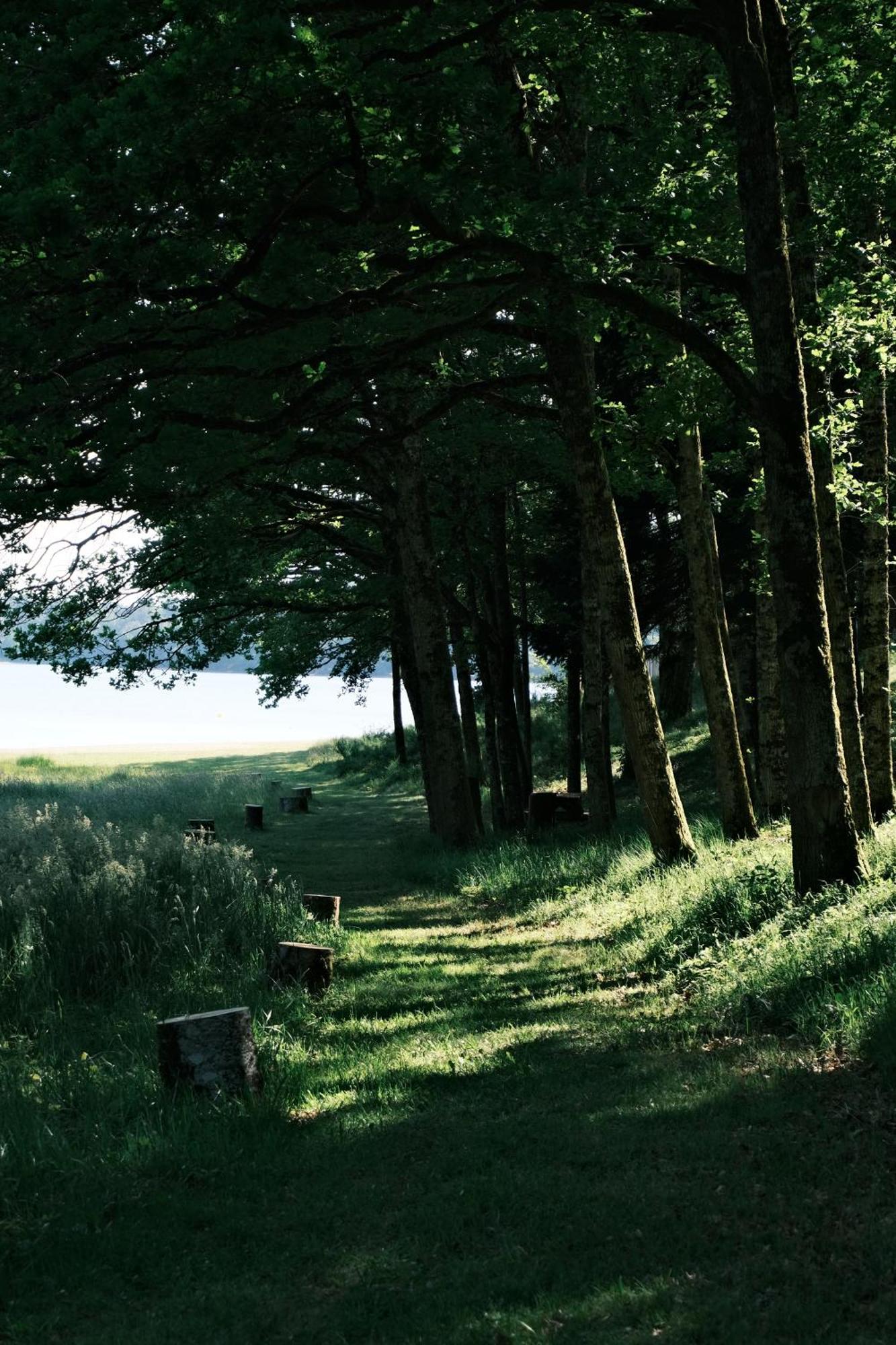 Lodge Avec Spa Privatif - Foret Et Lac Liginiac Zewnętrze zdjęcie